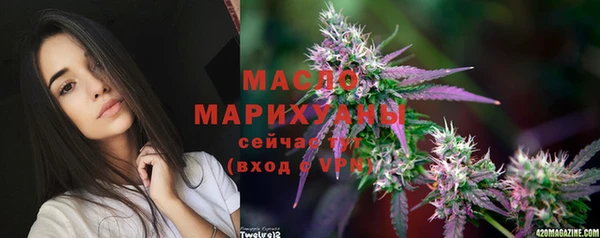 хмурый Дмитровск