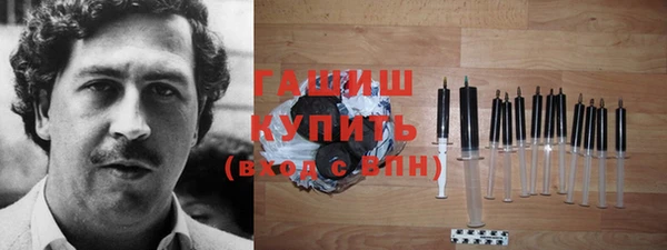 тгк Дмитриев