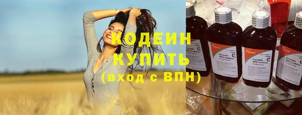 тгк Дмитриев
