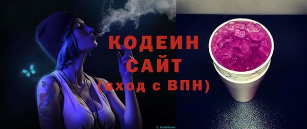 хмурый Дмитровск