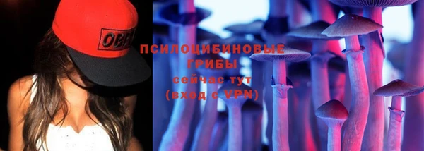 хмурый Дмитровск