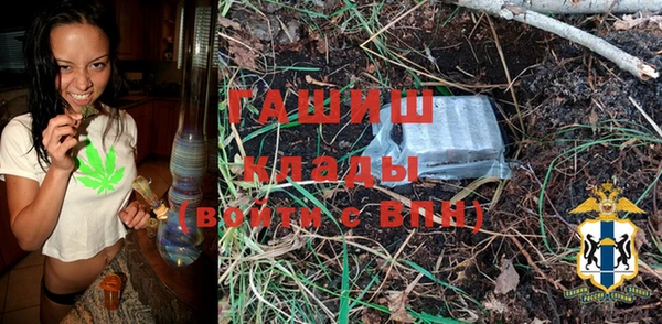тгк Дмитриев