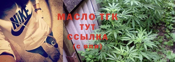 хмурый Дмитровск