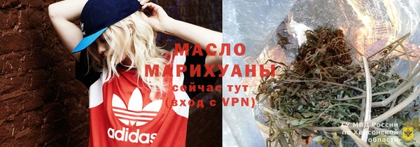 тгк Дмитриев