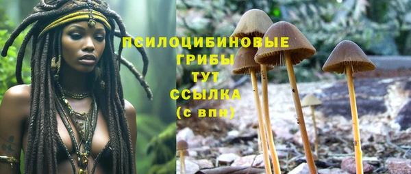 хмурый Дмитровск