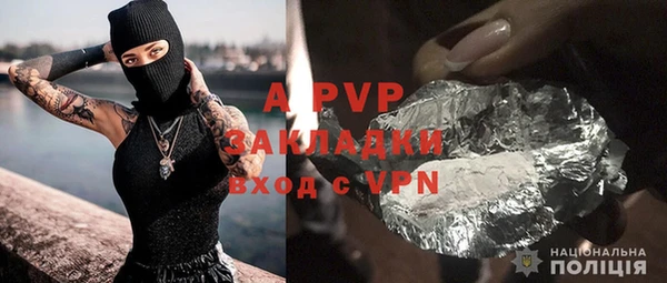 тгк Дмитриев