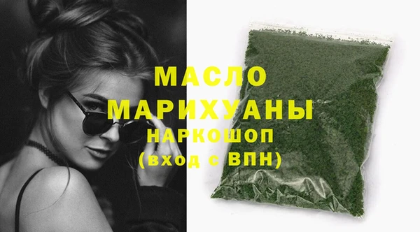 тгк Дмитриев