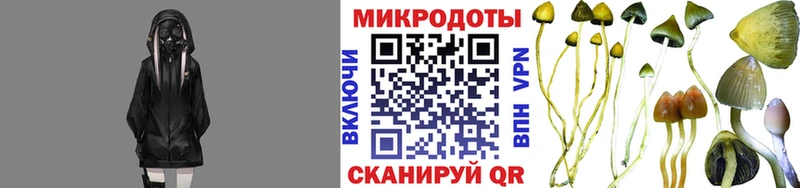 Галлюциногенные грибы ЛСД  что такое   Ельня 